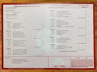 美国芝加哥大学成绩单