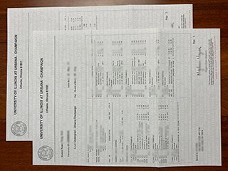 美国伊利诺伊大学成绩单